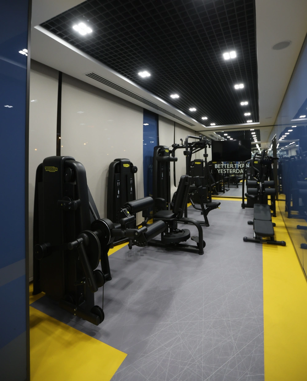 Qualia Fitness alanı